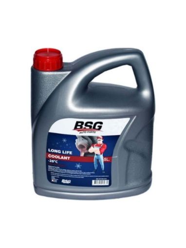 BSG ANTİFİRİZ 3 LT -56 DERECE resmi